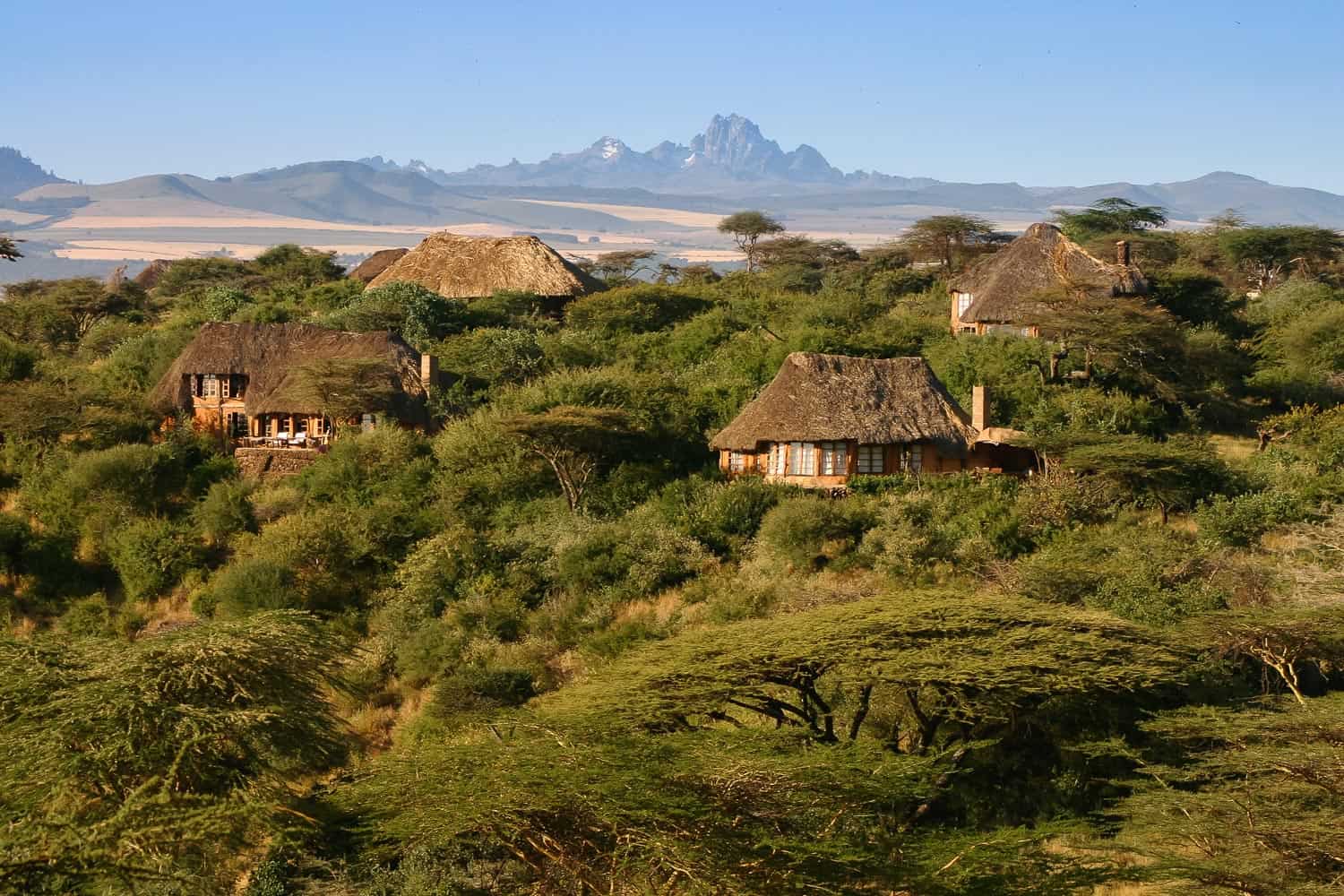 África guiada Vacaciones de Safari, Tours y Paquetes de Vacaciones, Viajes a destinos escapada de vida silvestre en África guiada Vacaciones de Safari, Tours y Paquetes de Vacaciones, Viajes a destinos escapada de vida silvestre en