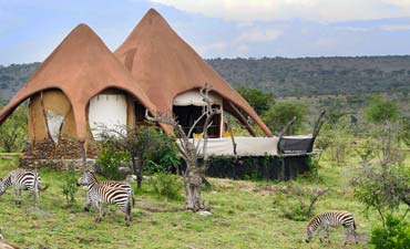 masai maraserenasafarilodgesmall1 AMANI MARA LODGE