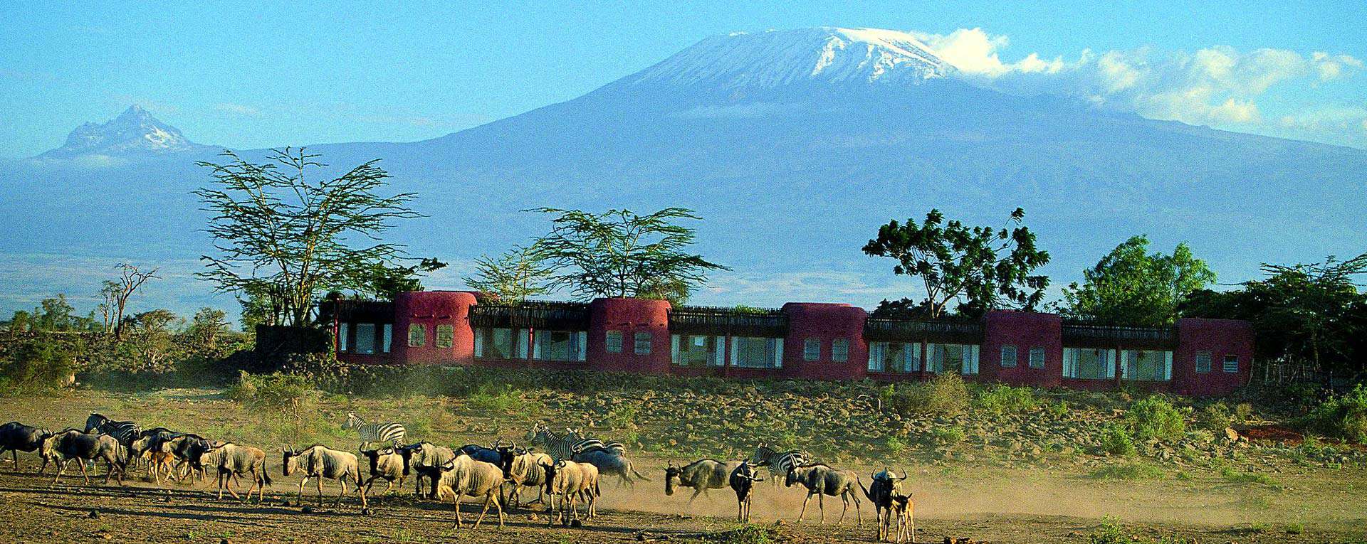 Amboseli Serena Safari Lodge - Kenya - AfricanMecca ...