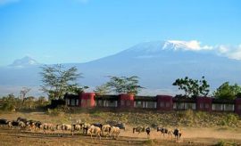 kenya elephant safari