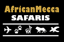 AfricanMecca Safaris