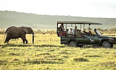 PREMIER TIER 1 - ANDBEYOND BATELEUR & ELEWANA NORTHERN KENYA SAFARI (11 DAYS)