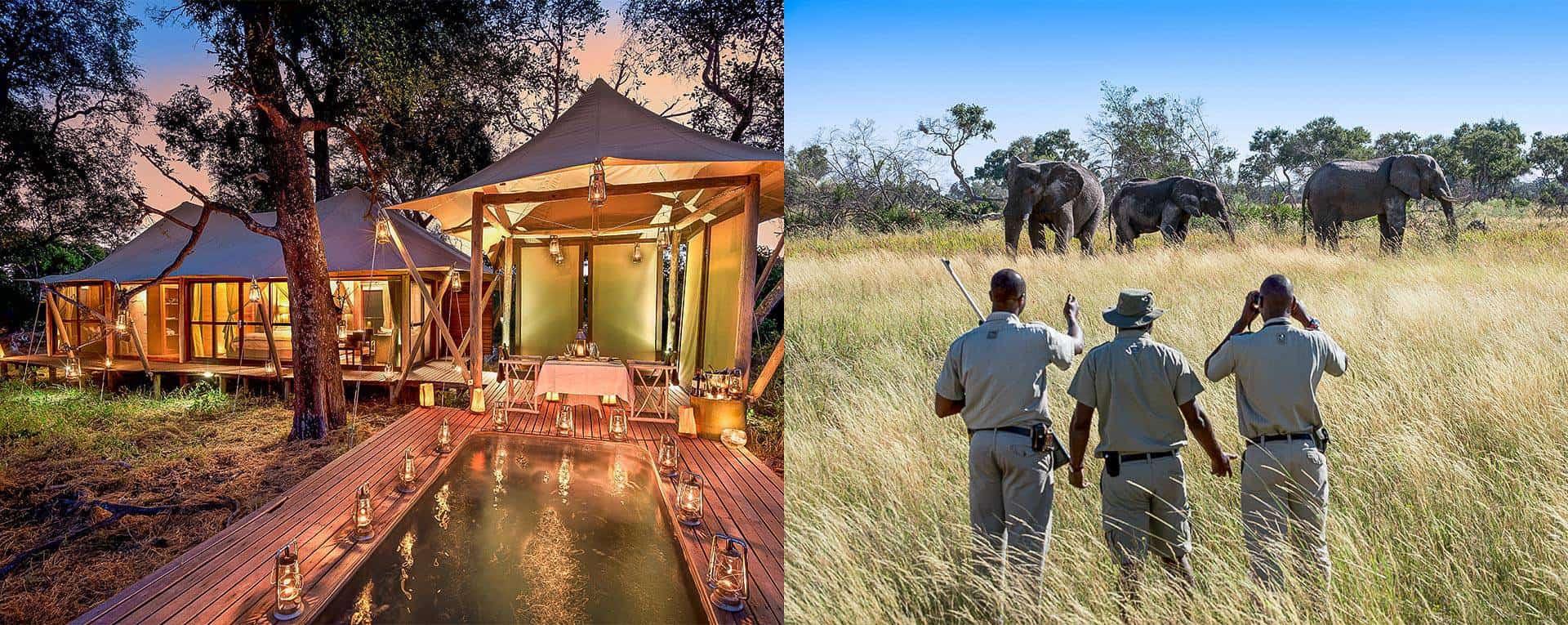 andbeyondxarannaokavangodeltacamp1