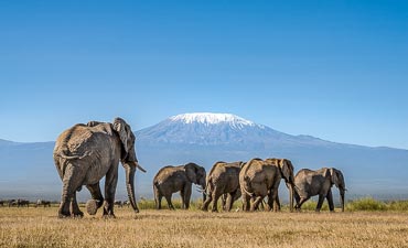 SAFARI & TOUR IN AMBOSELI