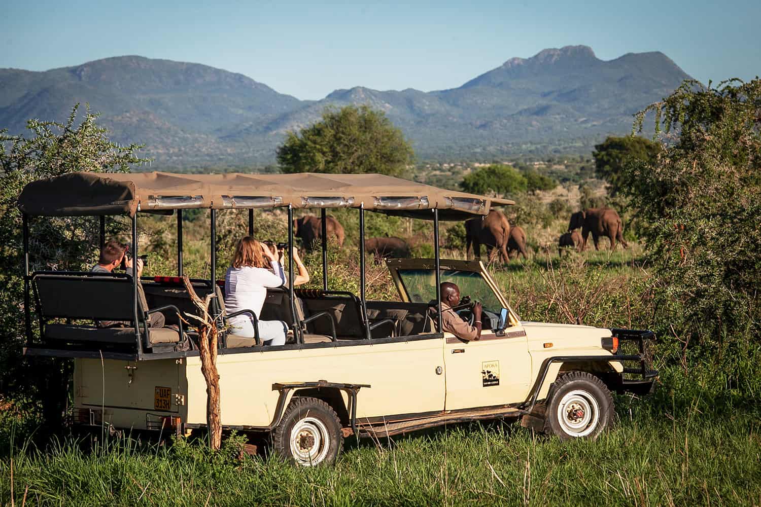 Game Drives To View The Diverse Wildlife Of Kidepo Valley