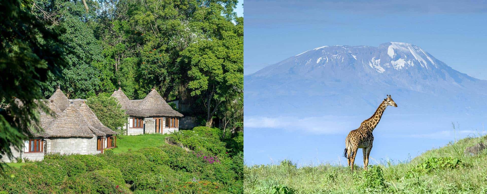 arushaserenalodge10