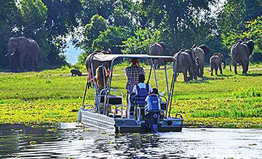 MURCHISON FALLS NATIONAL PARK GUIDE