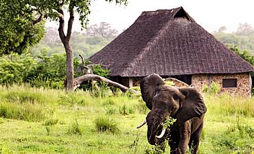 BEHO BEHO - NYERERE (SELOUS) SAFARI FROM SERENGETI