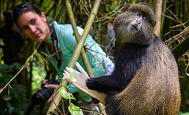 PARKS & RESERVES IN RWANDA