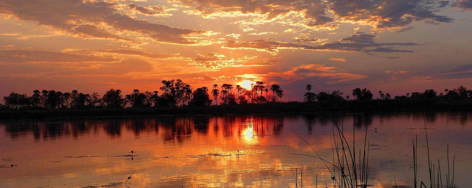 african safari best time of year