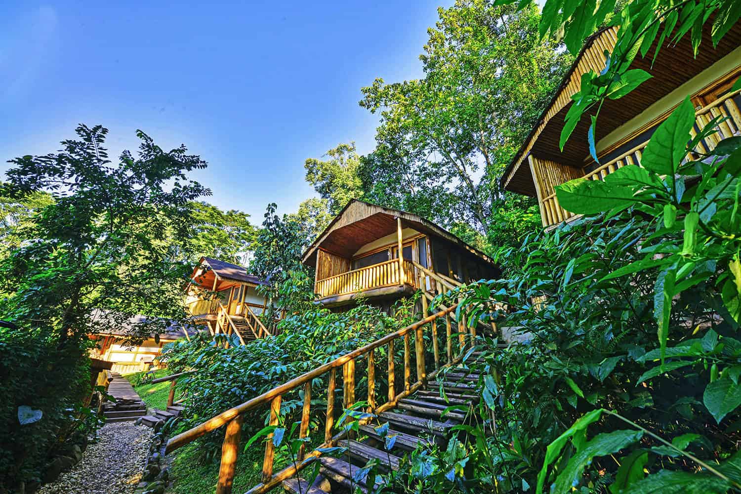 Buhoma Lodge Bwindi Park View
