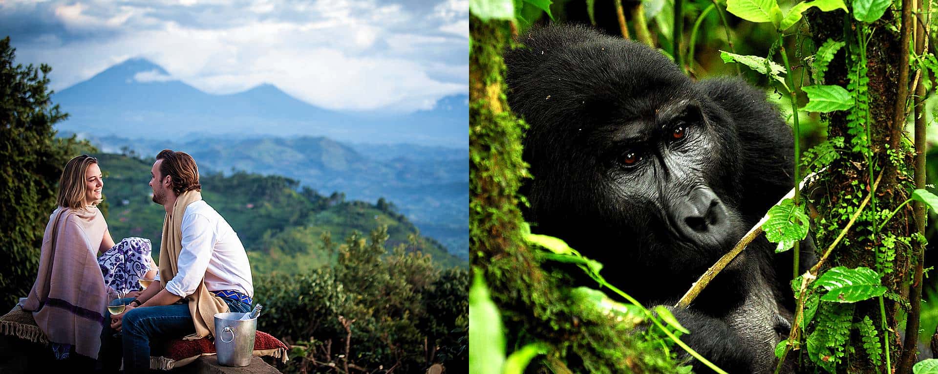 Uganda Trip Ideas & Booking Itineraries