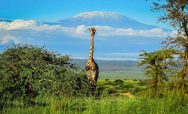 GUIDE ON CHYULU HILLS PARK