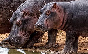 GUIDE ON CHYULU HILLS PARK