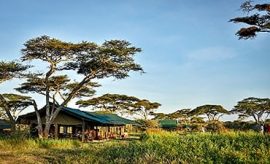 PLACES TO STAY IN SERENGETI PLACES TO STAY IN SERENGETI