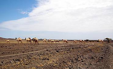 NORTHERN FRONTIER WILDERNESS