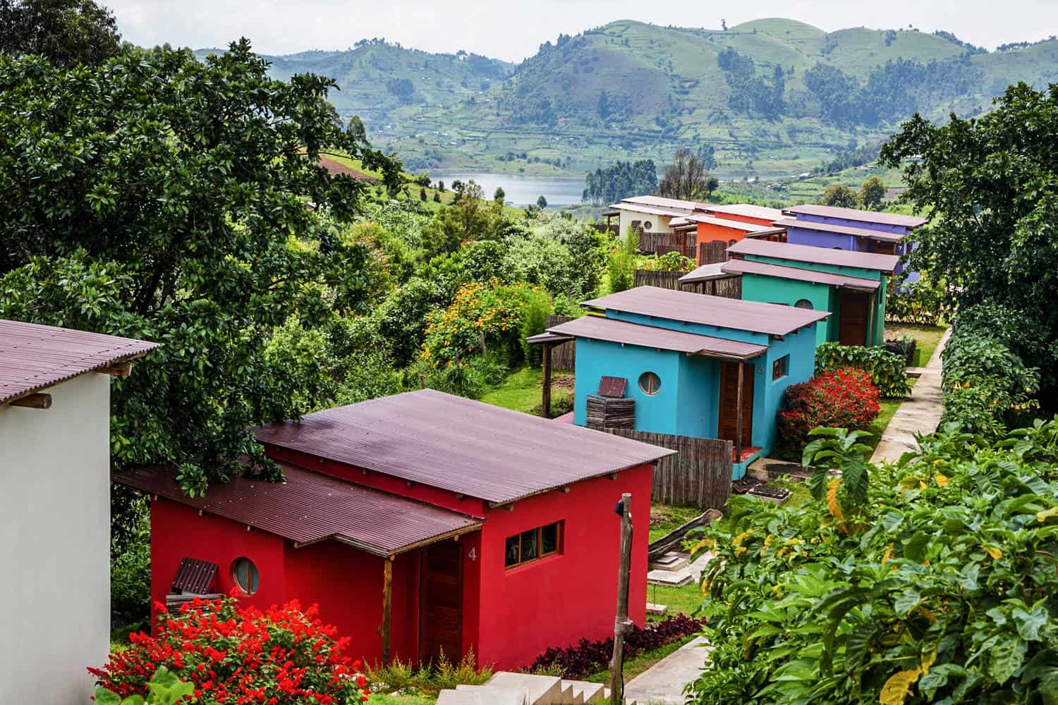 Chameleon Hill Lodge Bwindi Park View