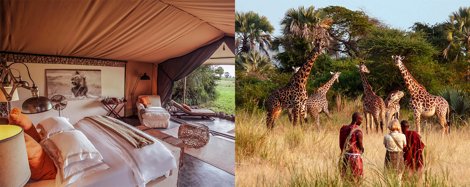 Tanzania Luxury Safari Experience With AfricanMecca Safaris