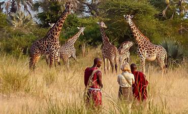 8 DAYS - CLASSIC NORTHERN TANZANIA ULTRA-LUXURY SAFARI