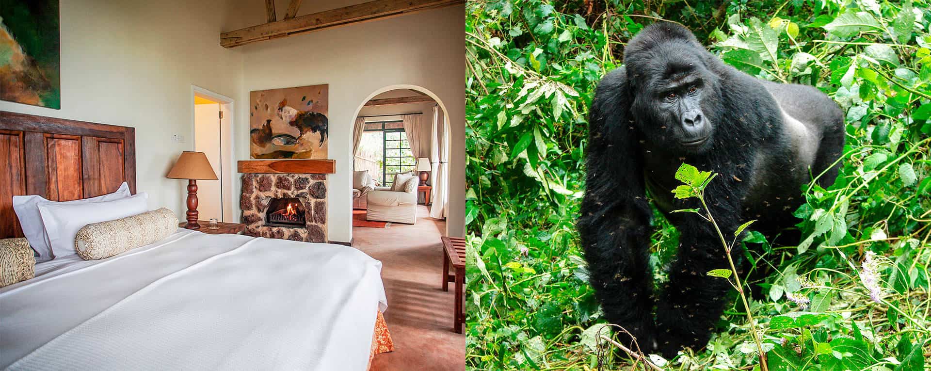 Clouds Mountain Gorilla Lodge Bwindi