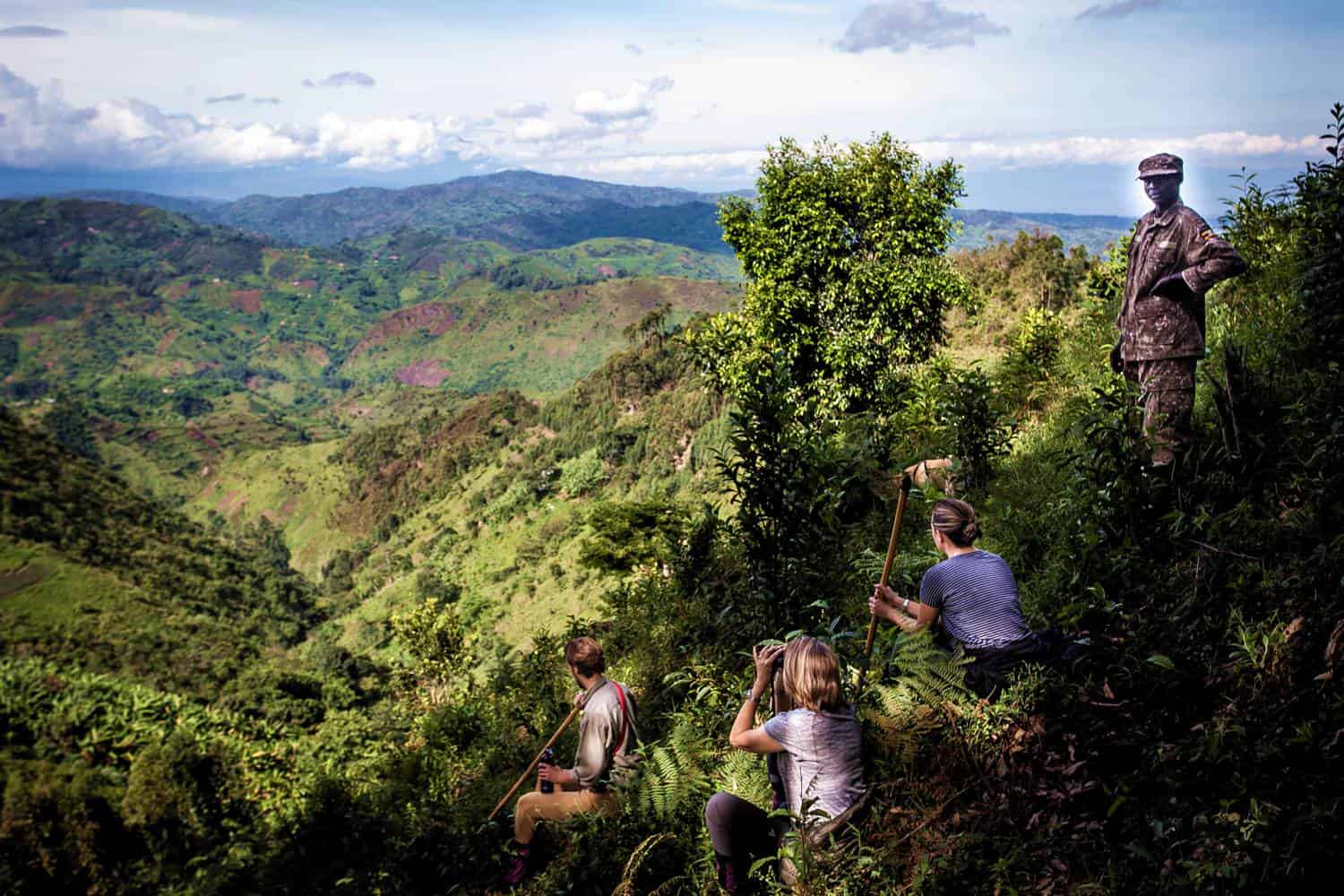 Which Sectors In Bwindi Are The Gorilla Families Seen
