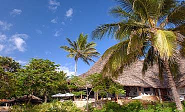 DRIFTWOOD BEACH CLUB DRIFTWOOD BEACH CLUB