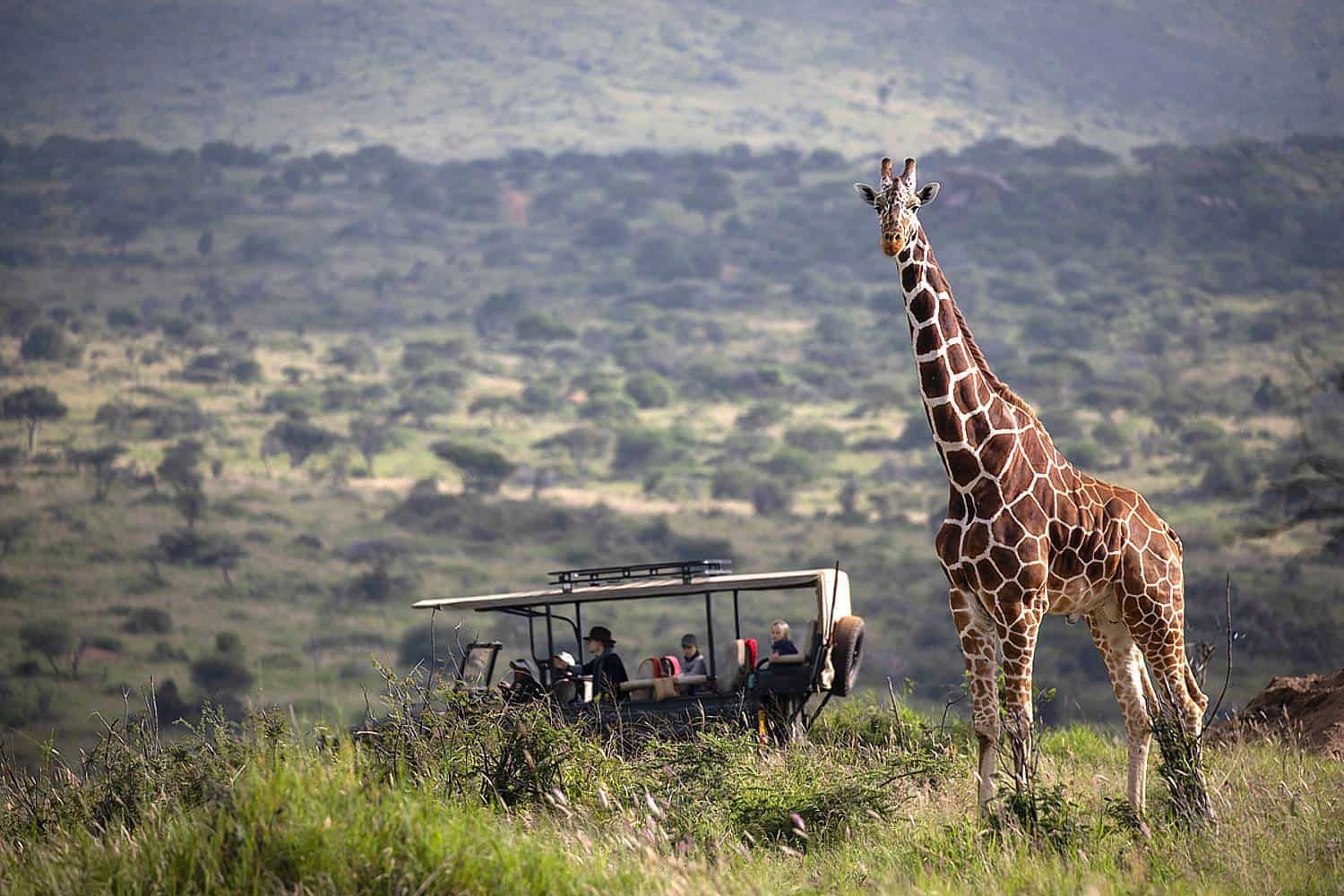 Elewana Loisaba Lodo Springs Safari Loisaba - Laikipia Tour