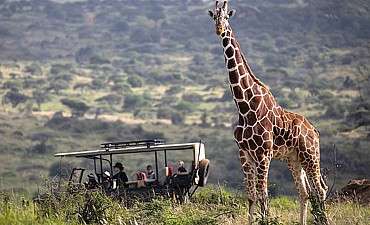 mount kenya safari club reviews