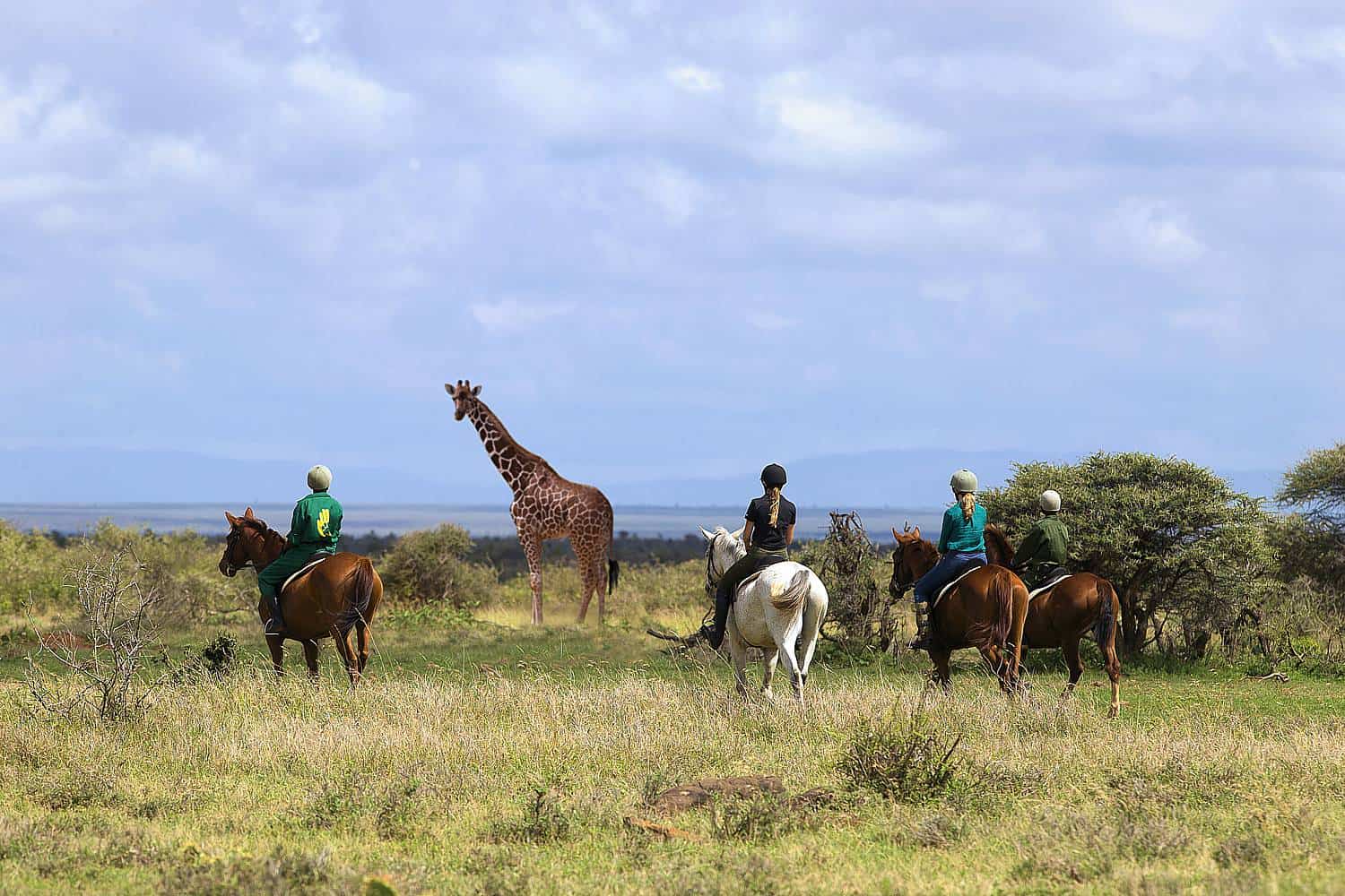 Elewana Loisaba Tented Camp Safari Loisaba - Laikipia Tour