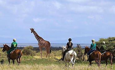 11 DAYS - NORTHERN KENYA & MASAI MARA SAFARI