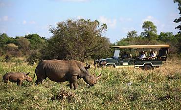 PREMIER TIER 1 - ELEWANA SKYSAFARI KENYA (8 DAYS)