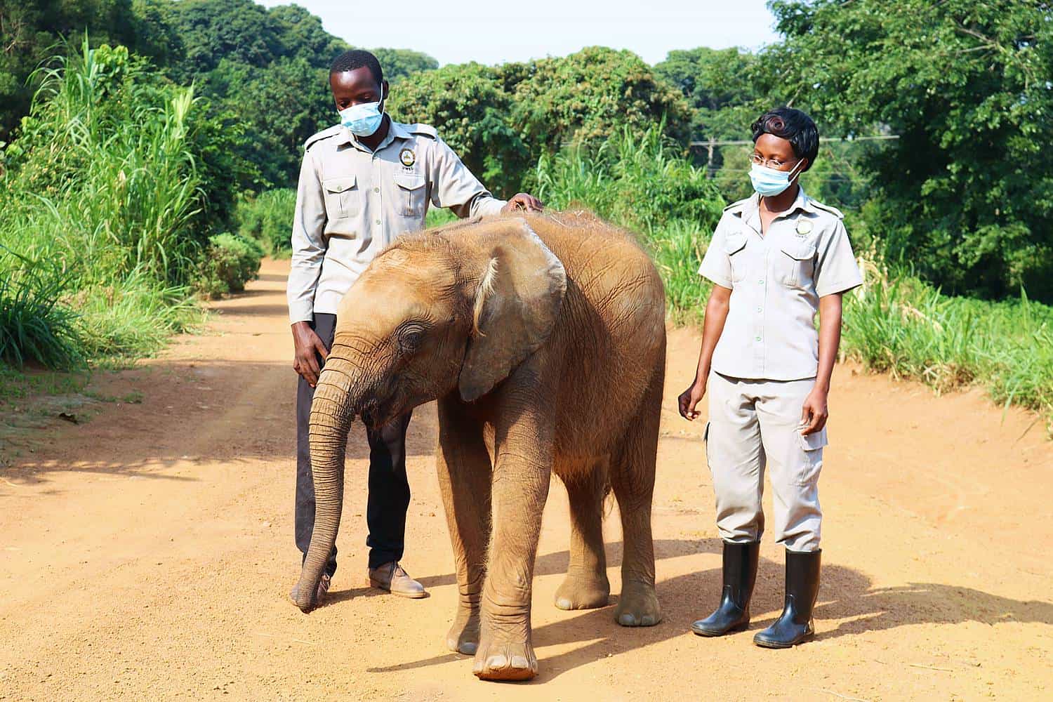 Excursion To Uganda Wildlife Conservation Education Center