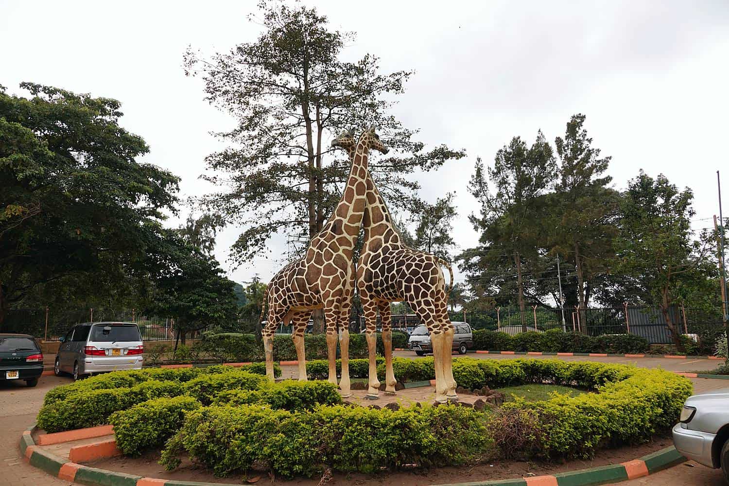 What Are The Experiences In Entebbe