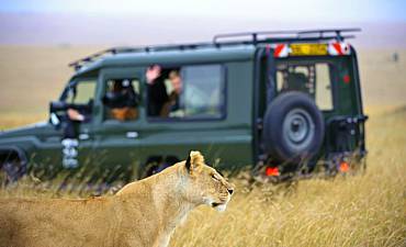 VALUE TIER 3 - ILKELIANI MASAI MARA & HIGHLIGHTS OF KENYA SAFARI (10 DAYS)