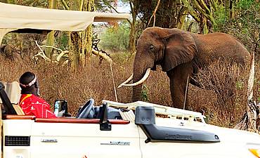 TSAVO WEST SAFARI PRICES