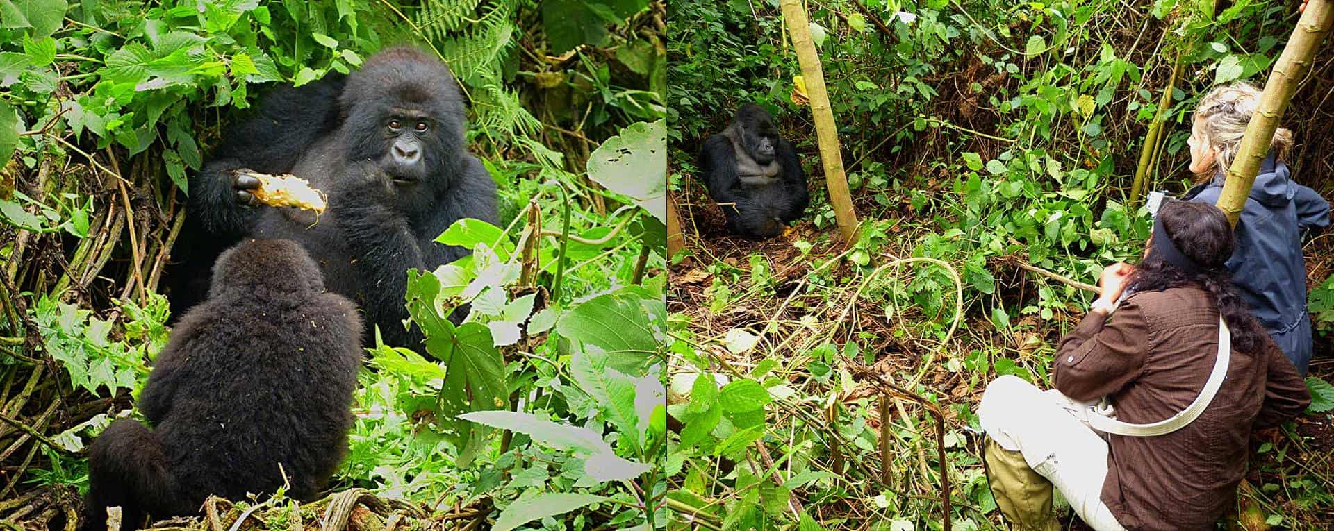 Five Volcanoes Boutique Hotel Safari Volcanoes Tour