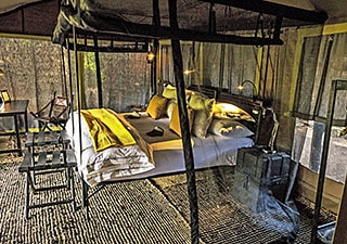 FOREST CHEM CHEM - TARANGIRE SAFARI