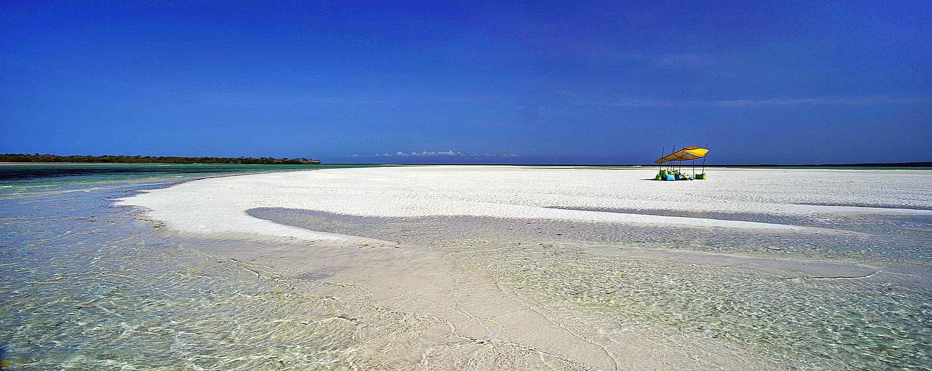 places to visit in south coast kenya