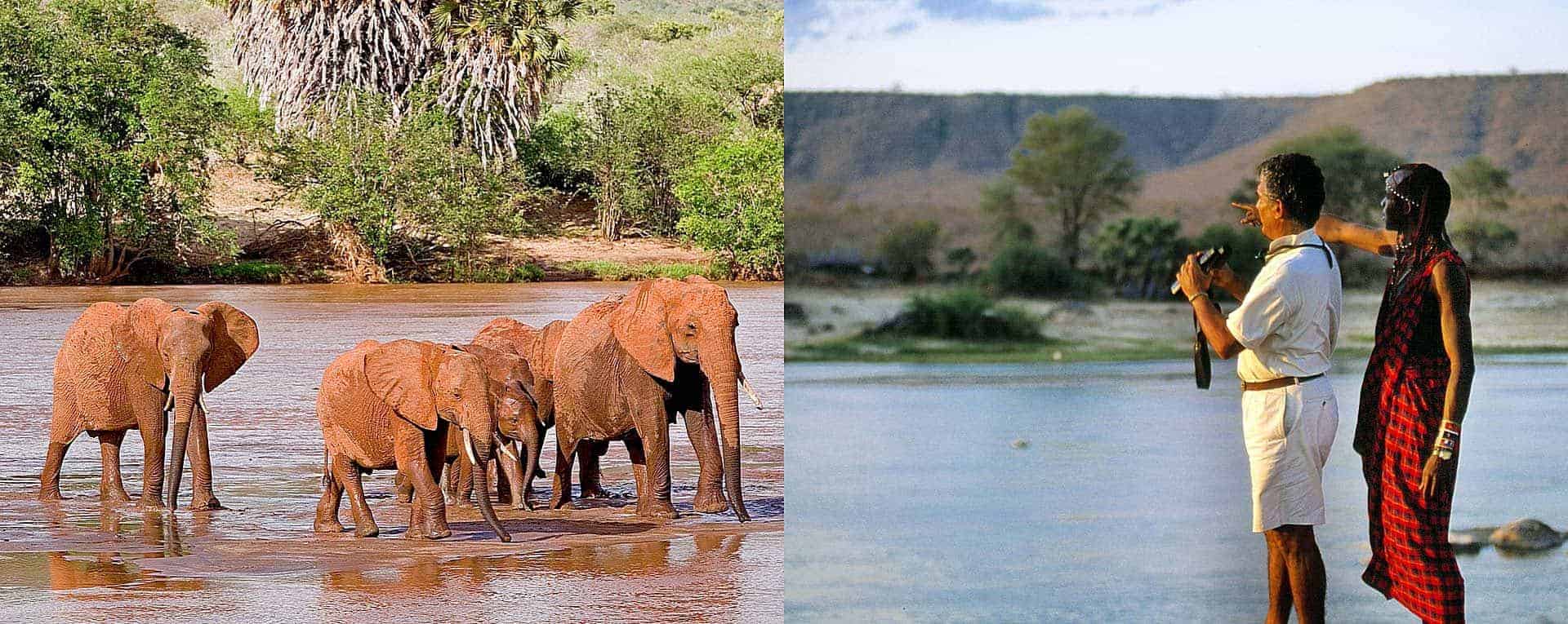 kenya safari tsavo