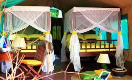 gombeforestlodgesmall2 PLACES TO STAY IN GOMBE