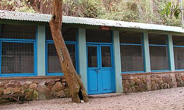 chemchemsafarilodgesmall1 GOMBE BANDAS