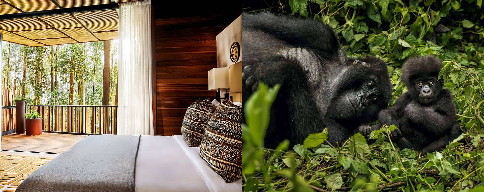 One&Only Gorilla’s Nest Lodge