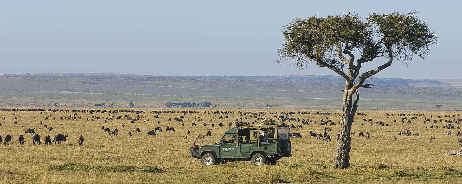 travel to masai mara kenya