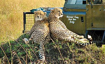 DELUXE TIER 2 - BEST OF KENYA & TANZANIA SAFARI - 15 DAYS