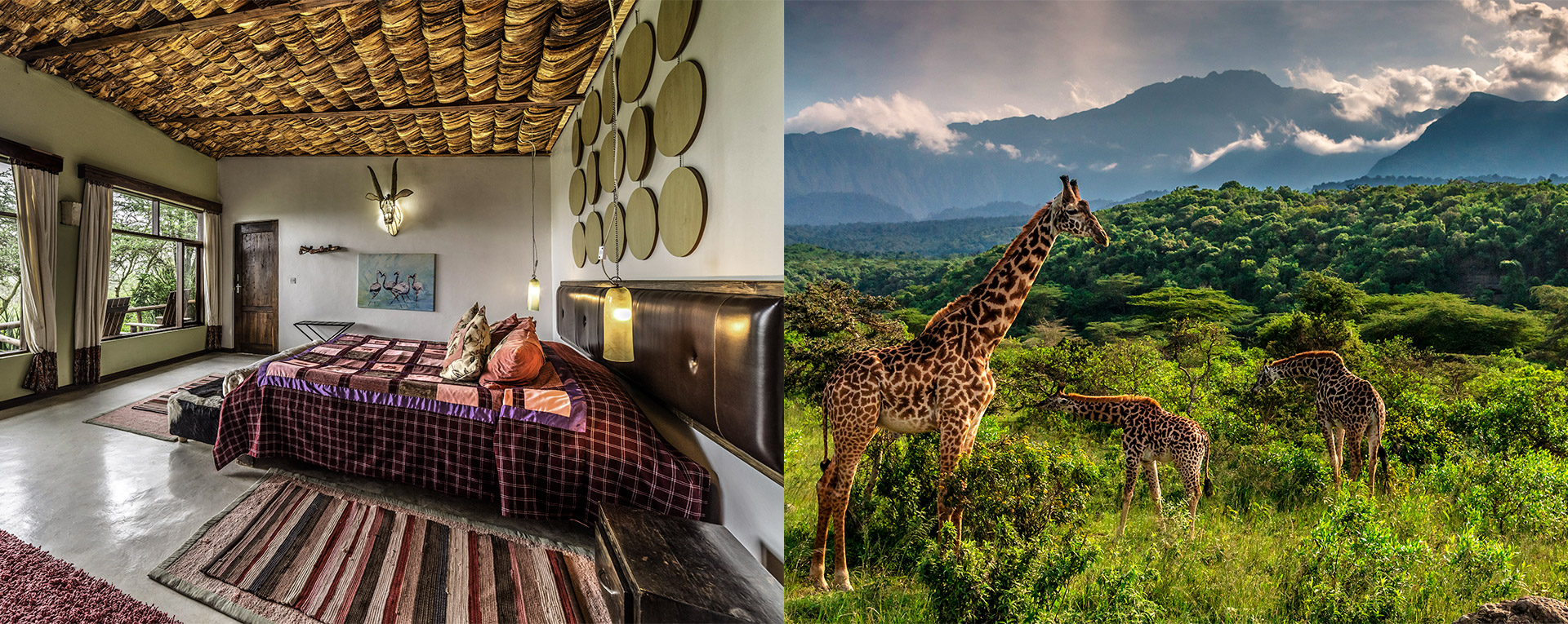 Hatari Lodge in Arusha National Park