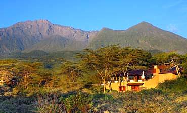 DELUXE TIER 2 - HATARI LODGE - ARUSHA PARK SAFARI