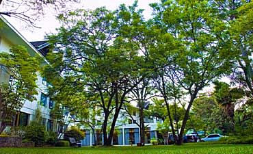 chemchemsafarilodgesmall1 JACARANDA HOTEL
