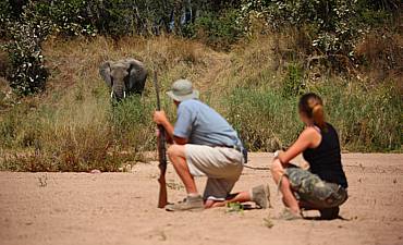 WALKING SAFARIS IN TANZANIA