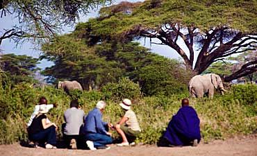 VALUE TIER 3 - KAMBI YA TEMBO - MOUNT KILIMANJARO SAFARI