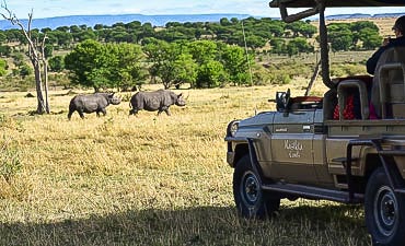 VALUE TIER 3 - NASIKIA TANZANIA MIGRATION ROAD SAFARI (10 DAYS)